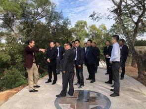 碣石镇爆料新闻,揭秘事件背后真相 第1张 碣石镇爆料新闻,揭秘事件背后真相 第1张